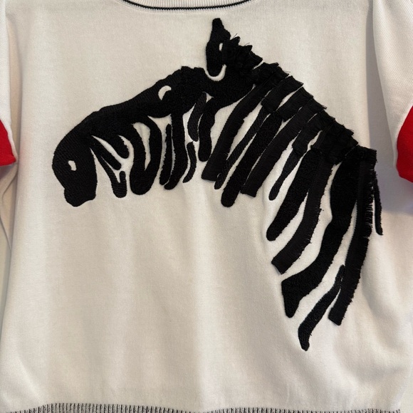 Gabby Isabella Zebra Fringe Cotton Sweater Colorblock 3/4 Sleeve Size Medium - Picture 4 of 9